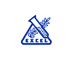 excel